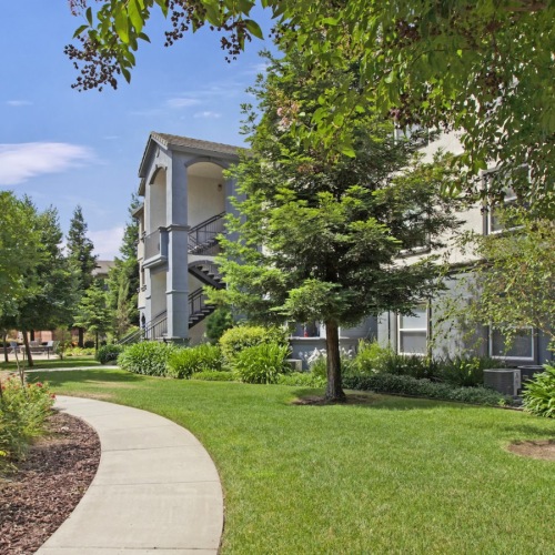 a walkway with trees and buildings